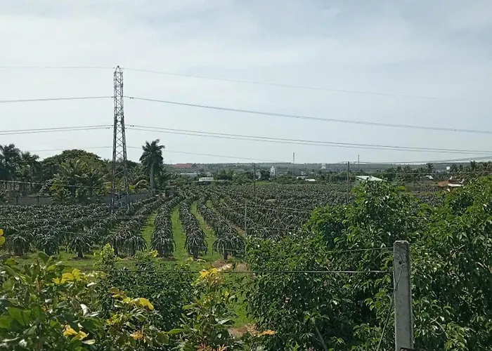 Alo - Nguyen 7 Pn - Bep Rieng - Ho Boi Phan Thiet